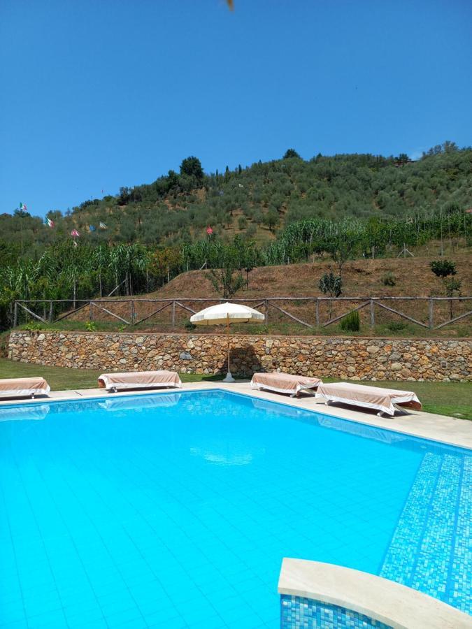 קמאיורה Villa Ester מראה חיצוני תמונה