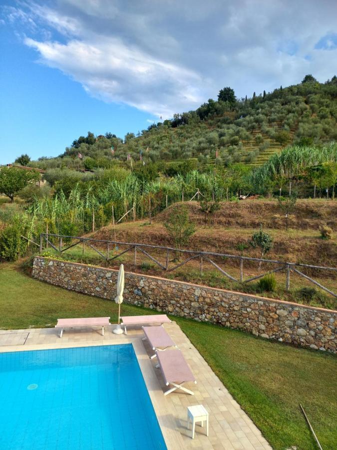 קמאיורה Villa Ester מראה חיצוני תמונה