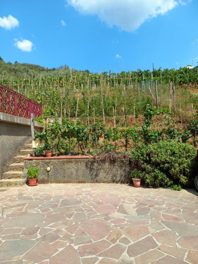 קמאיורה Villa Ester מראה חיצוני תמונה