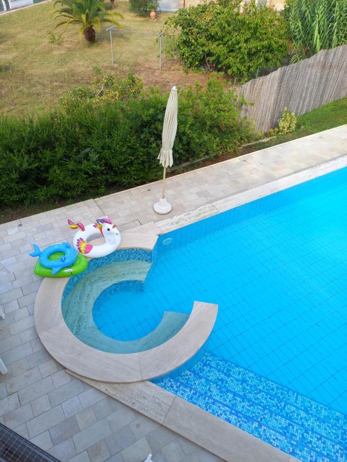 קמאיורה Villa Ester מראה חיצוני תמונה